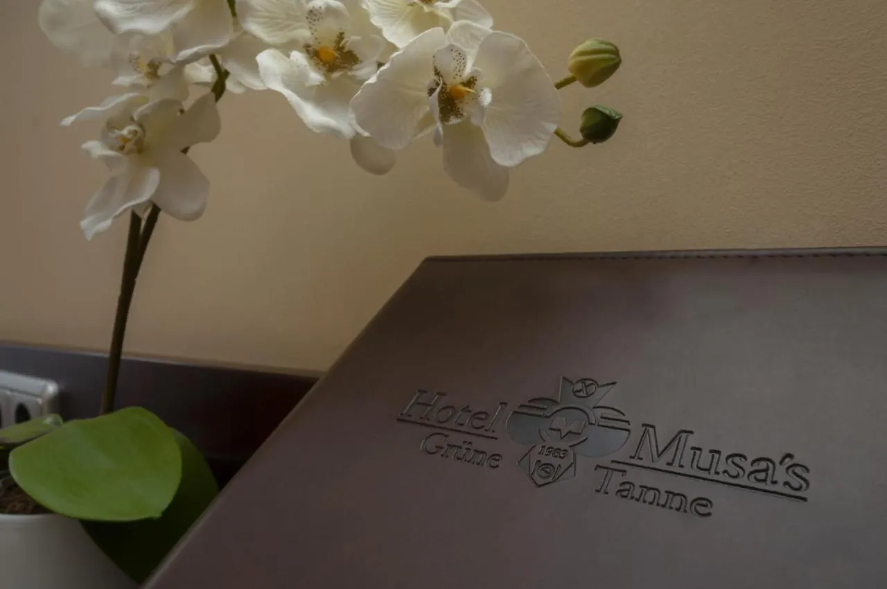 Hotel Gruene Tanne Hamburgo